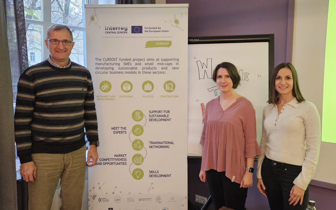 Četvrti sastanak projekta CURIOST u Linzu (AT)